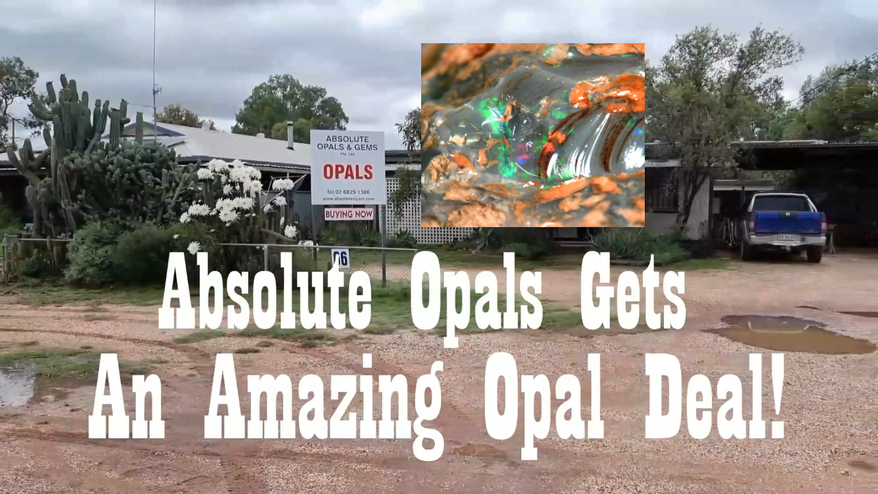 
                  Absolute Opals Gets an Amazing Opal Deal
                
