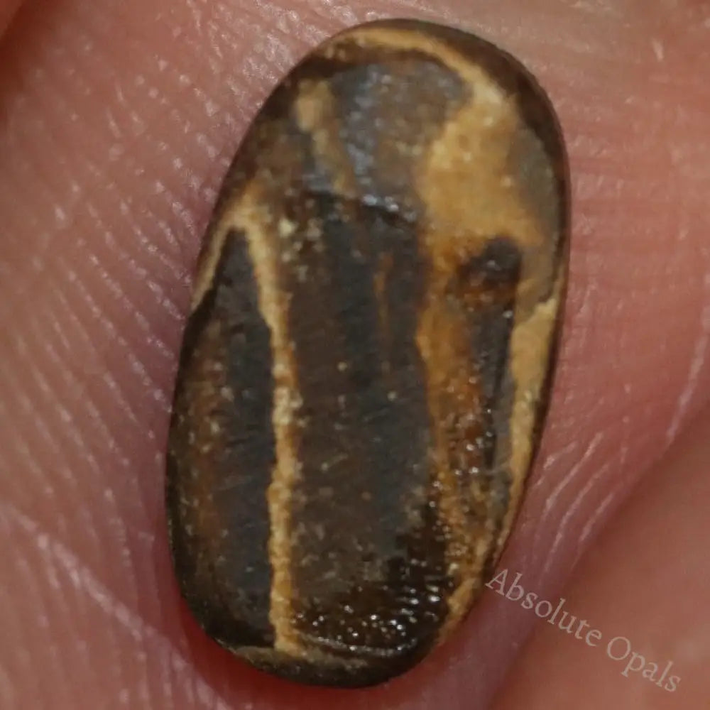 1.15 Cts Australian Opal Doublet Stone Cabochon