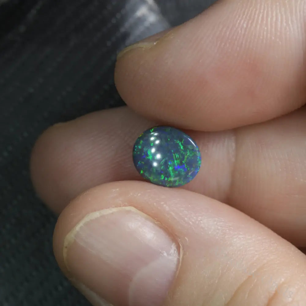 Cut Australian Black Opal Stone