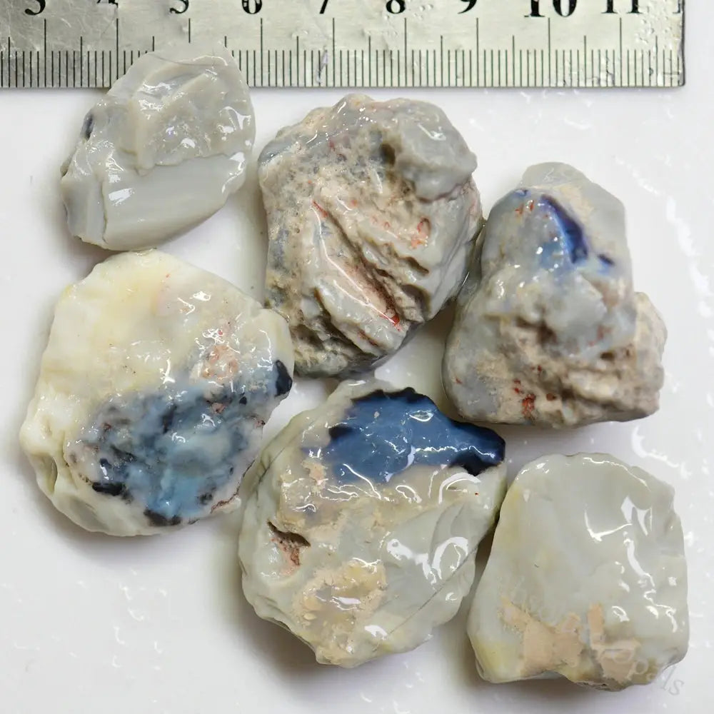 Potch OPAL