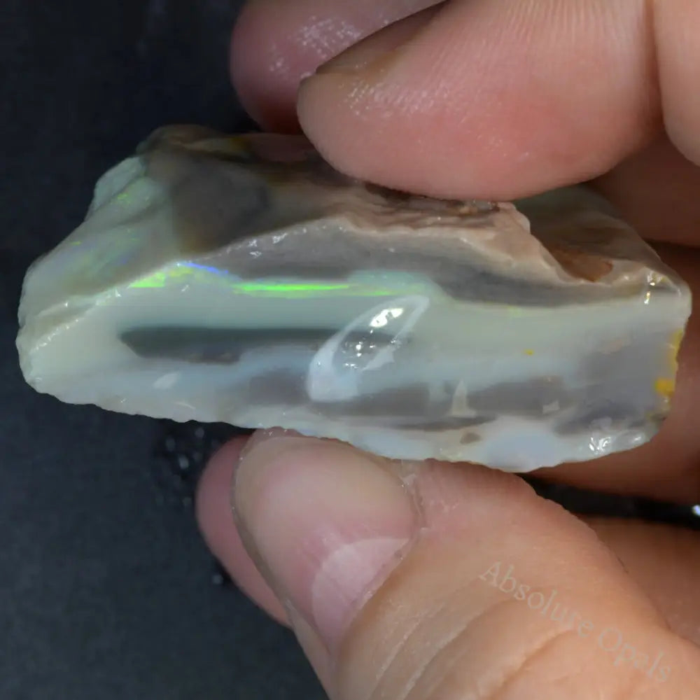 Lightning Ridge Rough Explore Our Rough Opal Collection Page 3 - Absolute Opals & Gems