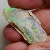11.7 Cts Australian Opal Rough Lightning Ridge Polished Specimen Wood Fossil