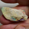 11.7 Cts Australian Opal Rough Lightning Ridge Polished Specimen Wood Fossil