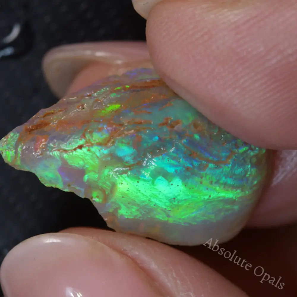 Lightning Ridge Rough Opals Rough Opal - Absolute Opals & Gems