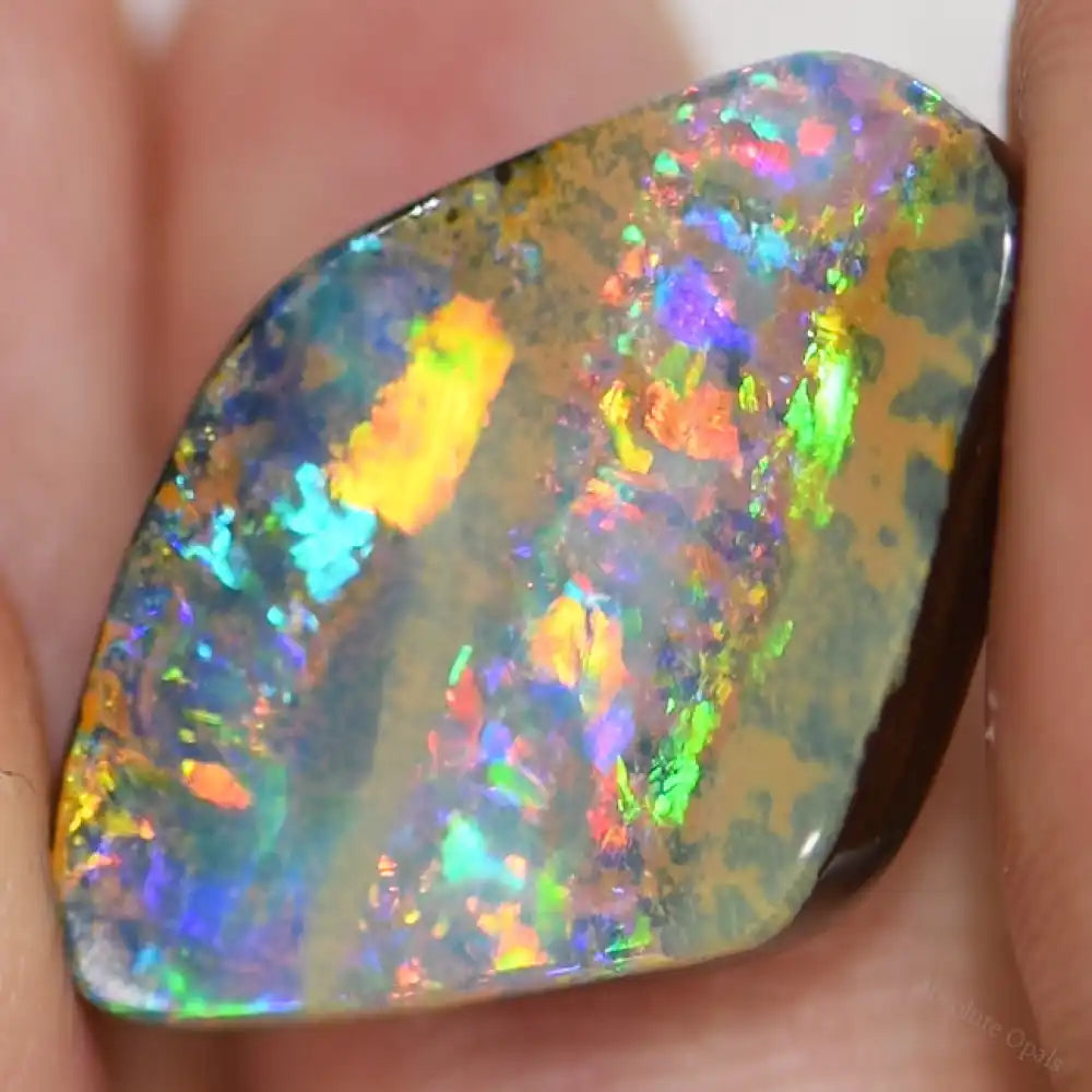 12.81 Cts Australian Boulder Opal Cut Loose Stone
