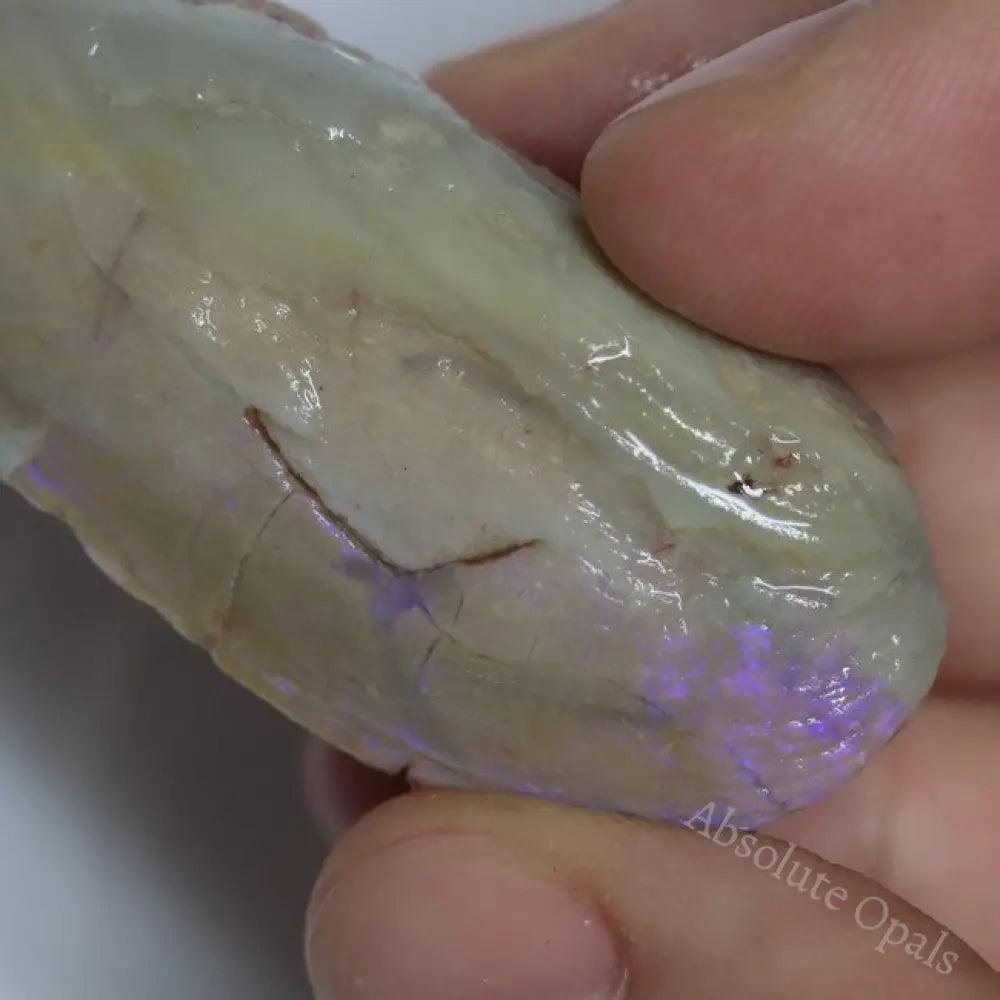 122.05 Cts Opal Rough Parcel Fossilised Shell 20.7-50.2X5.4-22.2X8.2-13.6Mm