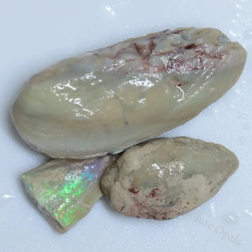 122.05 Cts Opal Rough Parcel Fossilised Shell 20.7-50.2X5.4-22.2X8.2-13.6Mm