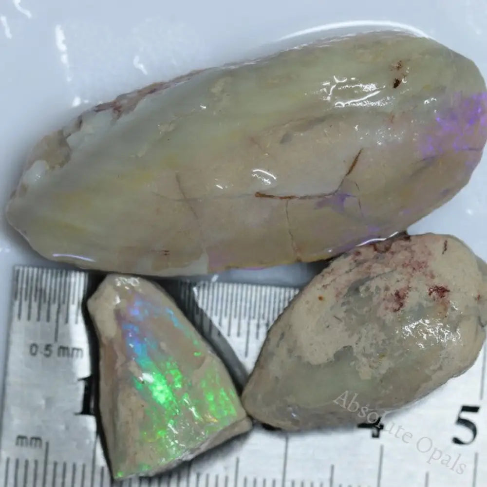 122.05 Cts Opal Rough Parcel Fossilised Shell 20.7-50.2X5.4-22.2X8.2-13.6Mm