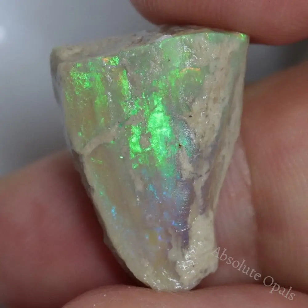 122.05 Cts Opal Rough Parcel Fossilised Shell 20.7-50.2X5.4-22.2X8.2-13.6Mm