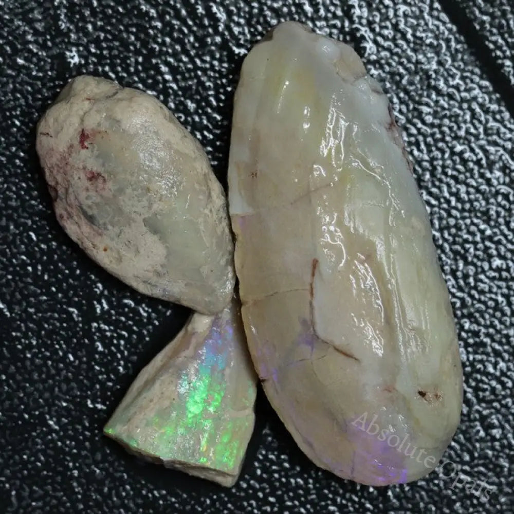 122.05 Cts Opal Rough Parcel Fossilised Shell 20.7-50.2X5.4-22.2X8.2-13.6Mm