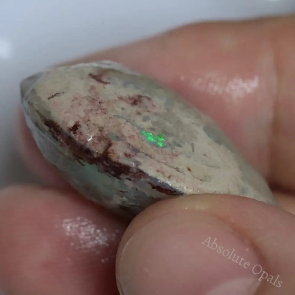 122.05 Cts Opal Rough Parcel Fossilised Shell 20.7-50.2X5.4-22.2X8.2-13.6Mm