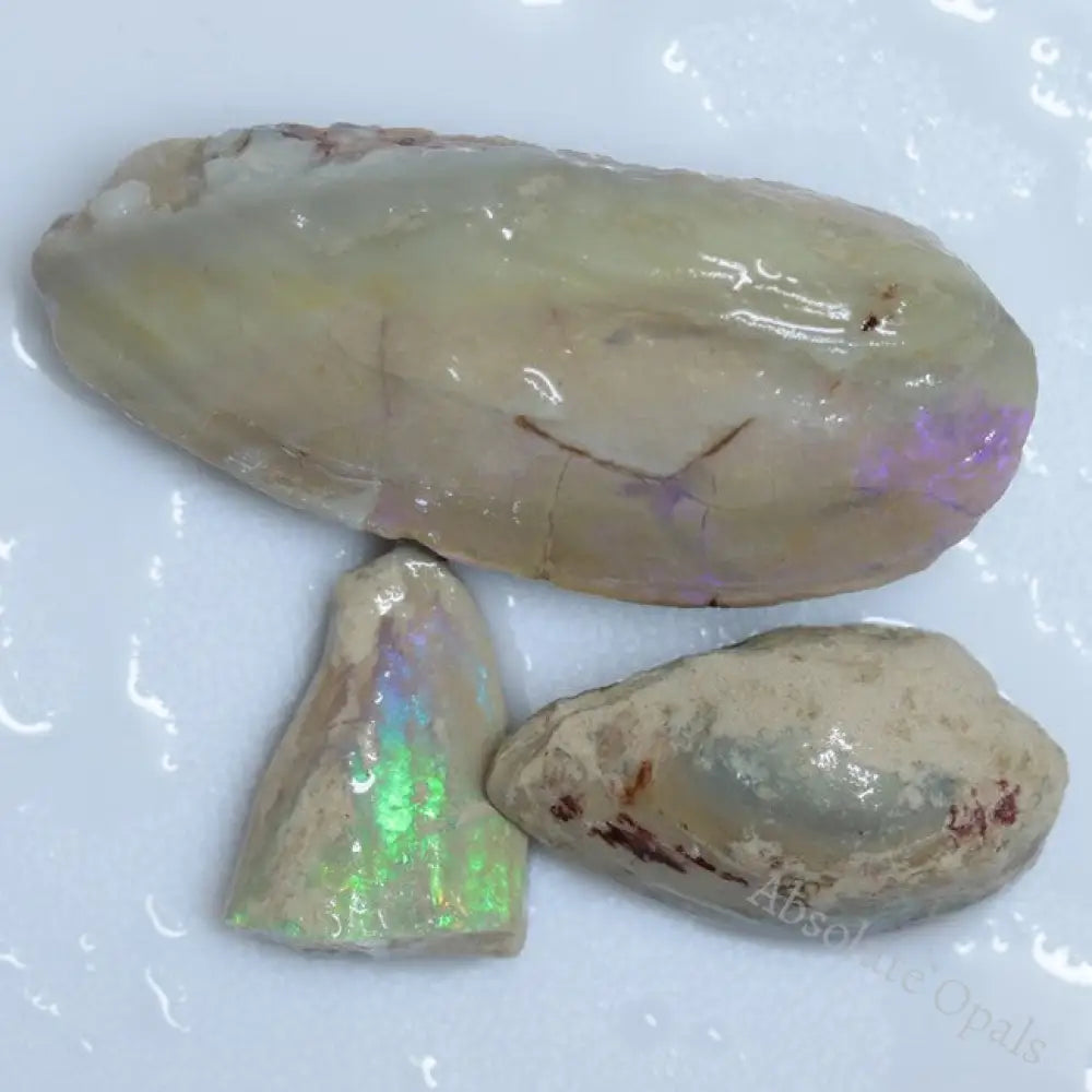 122.05 Cts Opal Rough Parcel Fossilised Shell 20.7-50.2X5.4-22.2X8.2-13.6Mm