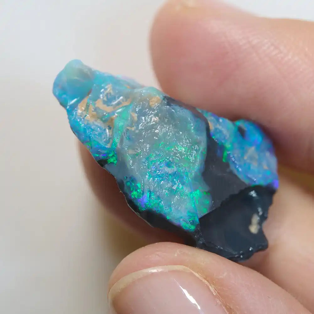 Lightning Ridge Rough 13.9 cts Rough Opal Lightning Ridge for Carving - Absolute Opals & Gems