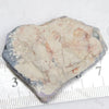 135.70 Cts Australian Semi Black Opal Rough Specimen Lightning Ridge Cmr