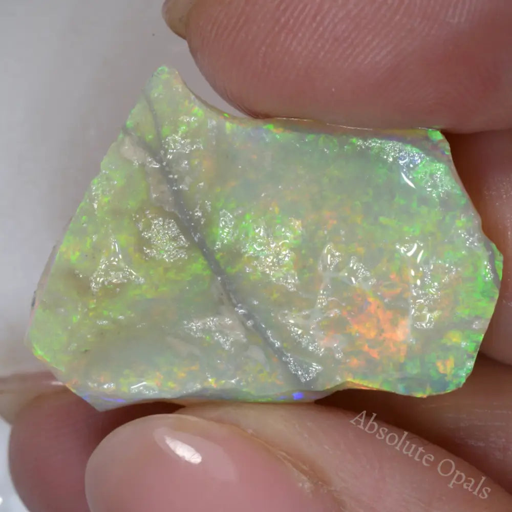 Lightning Ridge Rough 14.1 cts Australian Rough Opal Lightning Ridge - Absolute Opals & Gems