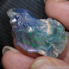14.3 cts Rough Opal Lightning Ridge Polished Specimen Plant Fossil