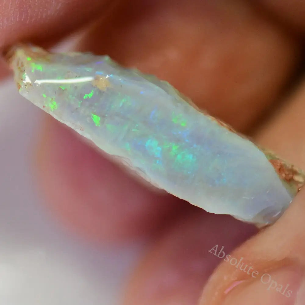 Lightning Ridge Rough 14.5 cts Australian Rough Opal Lightning Ridge - Absolute Opals & Gems