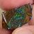  Boulder Opal Rough Parcel