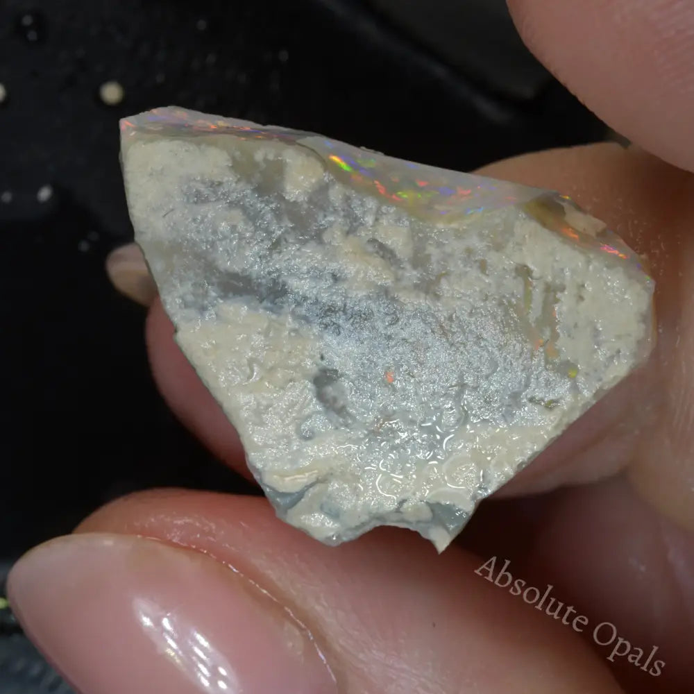 Lightning Ridge Rough 15.4 cts Australian Rough Opal Lightning Ridge - Absolute Opals & Gems