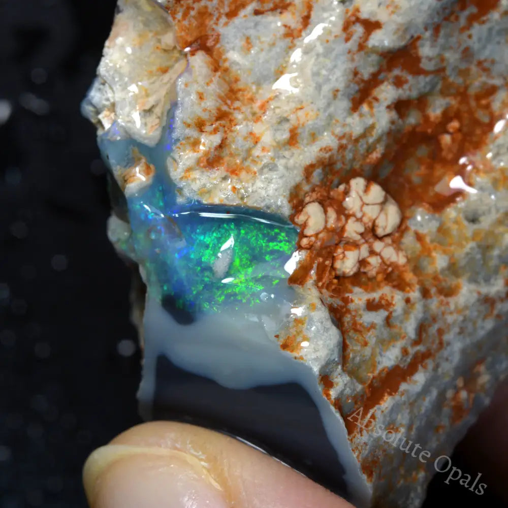Lightning Ridge Rough Opals Rough Opal - Absolute Opals & Gems