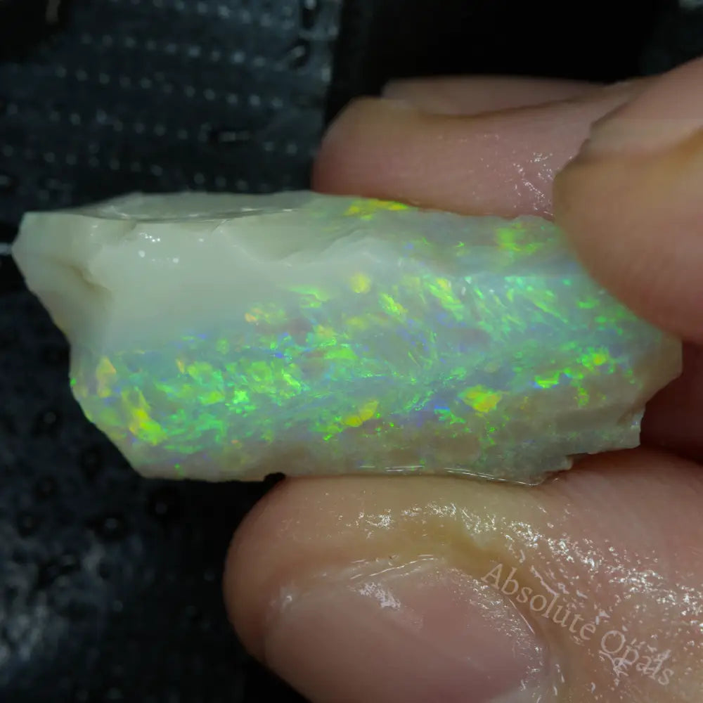 Lightning Ridge Rough 16.2 cts Australian Rough Opal Lightning Ridge - Absolute Opals & Gems