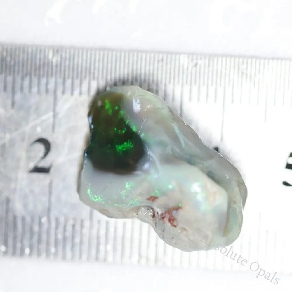 16.30 Cts Australian Lightning Ridge Opal Rough For Carving