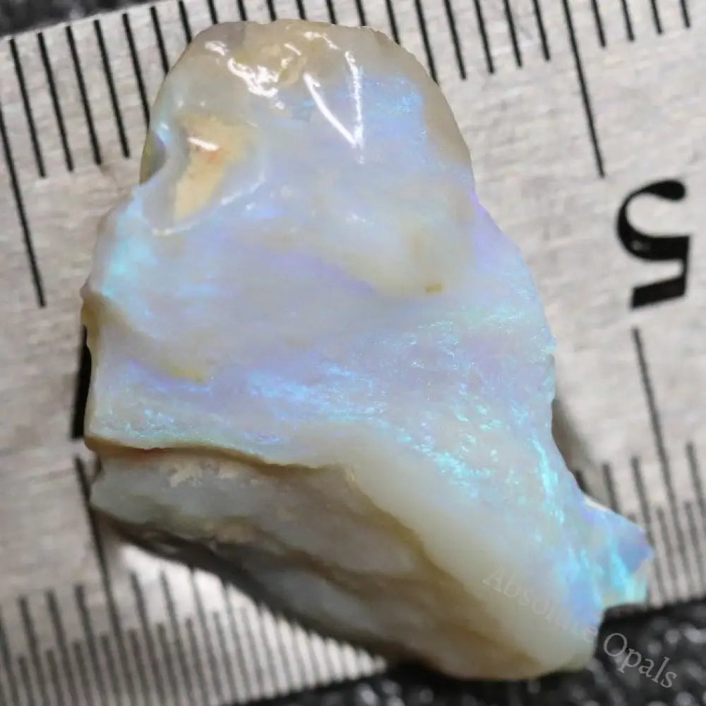 16.80 Cts Australian Lightning Ridge Opal Rough For Carving