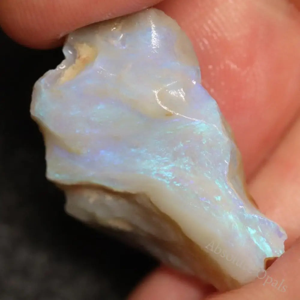 16.80 Cts Australian Lightning Ridge Opal Rough For Carving