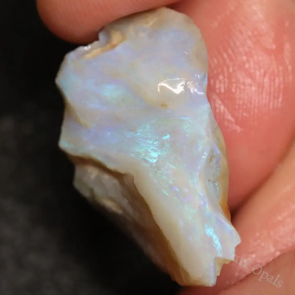 16.80 Cts Australian Lightning Ridge Opal Rough For Carving