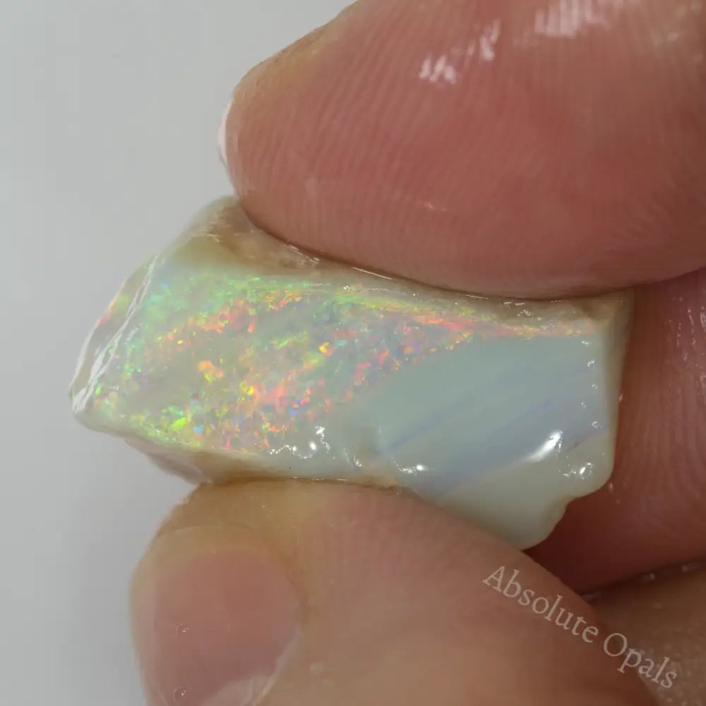 Lightning Ridge Rough 16.9 cts Australian Rough Opal Lightning Ridge - Absolute Opals & Gems