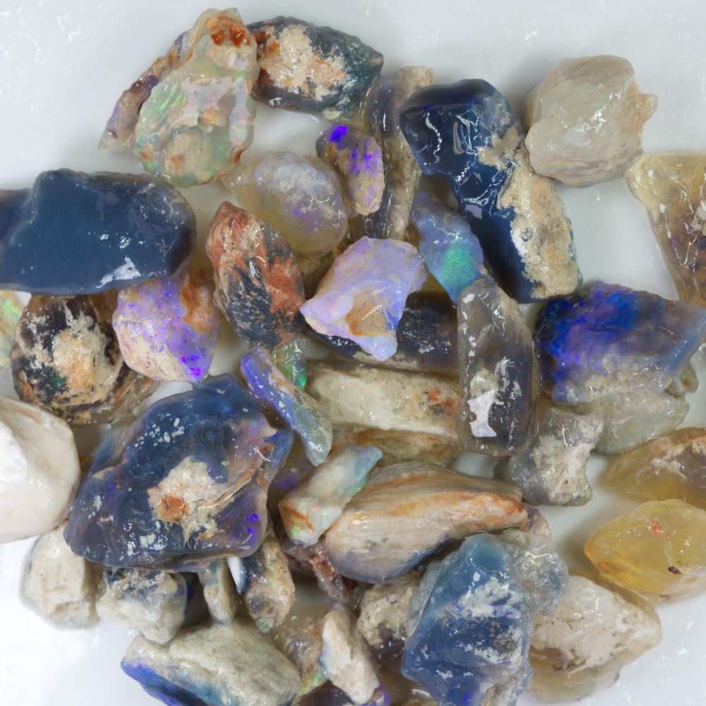 Rough Fossil Opal Collection