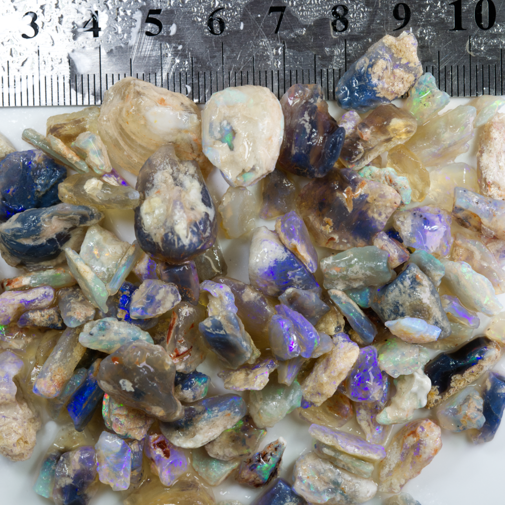 407 cts Australian Rough Fossil Opal Collection Lightning Ridge