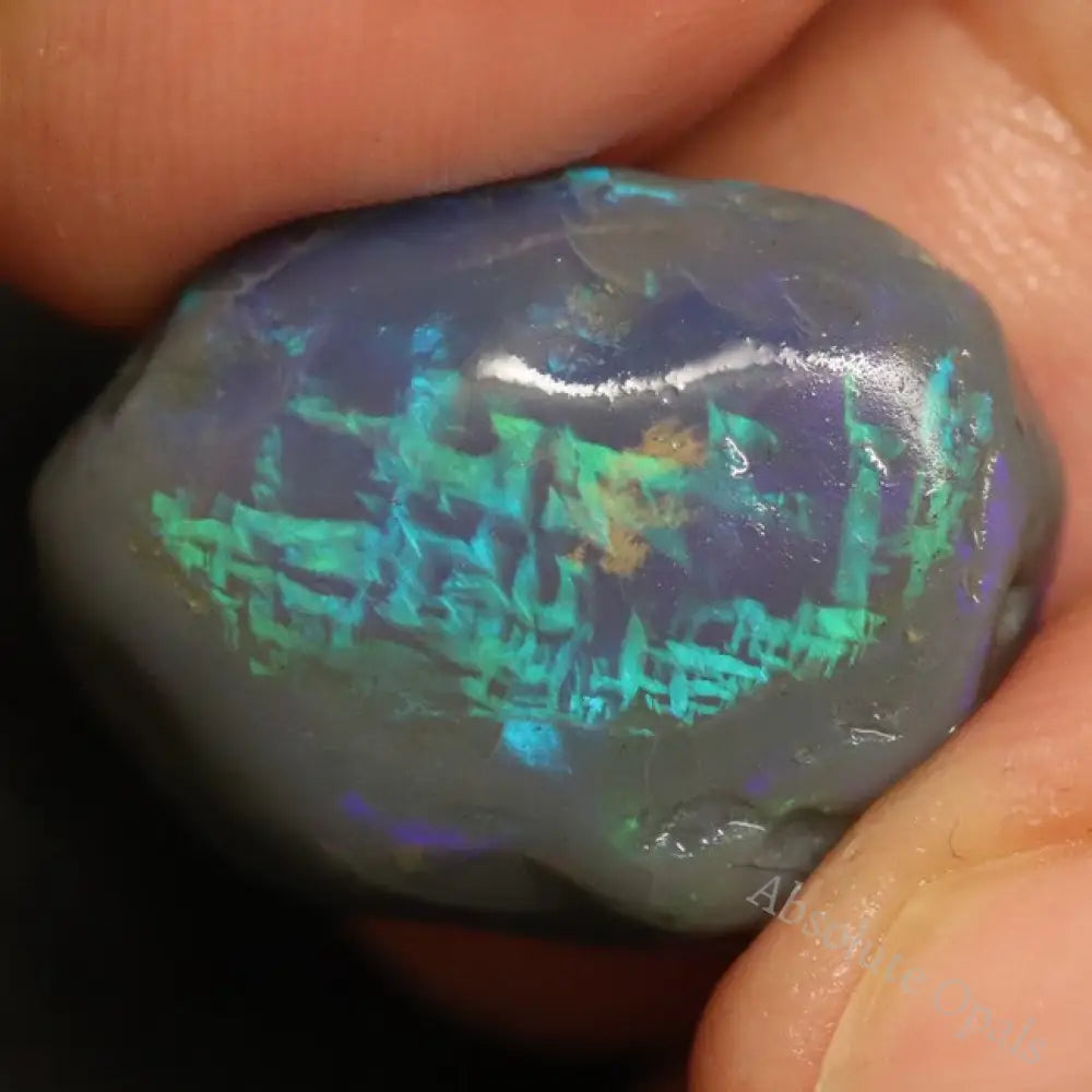 17.0 Cts Australian Black Opal Lightning Ridge Rough Nobby Script Pattern