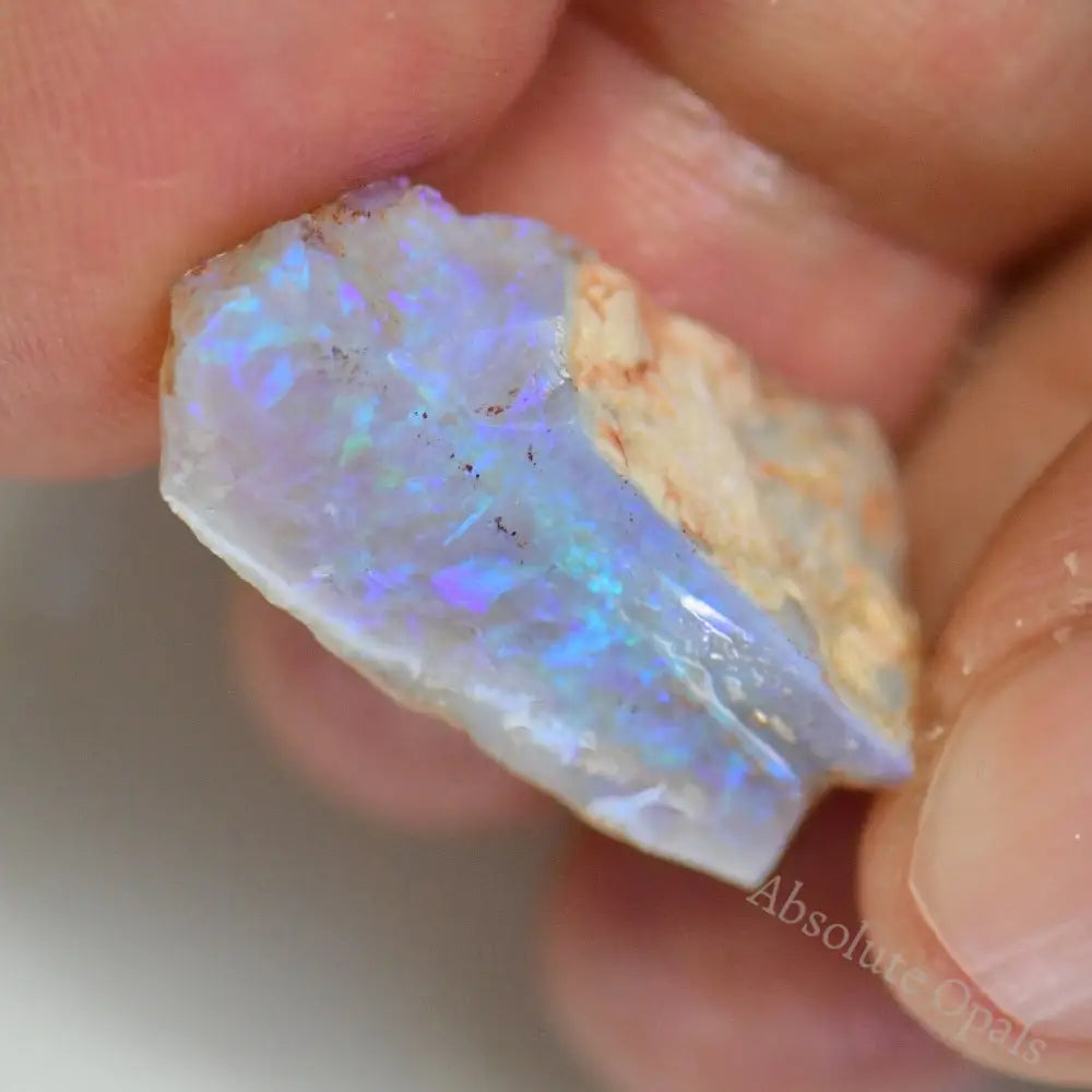 Australian Ridge 17 cts Australian Rough Opal Lightning Ridge - Absolute Opals & Gems