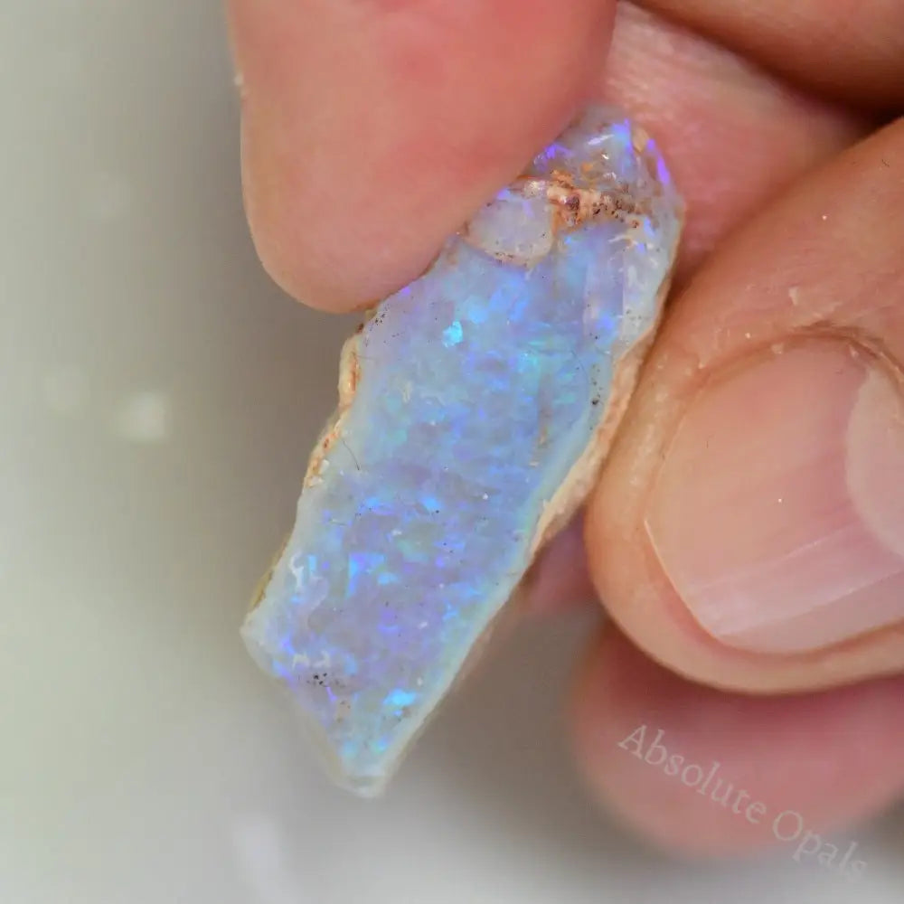 Lightning Ridge Rough Opals 17 cts Australian Rough Opal Lightning Ridge - Absolute Opals & Gems