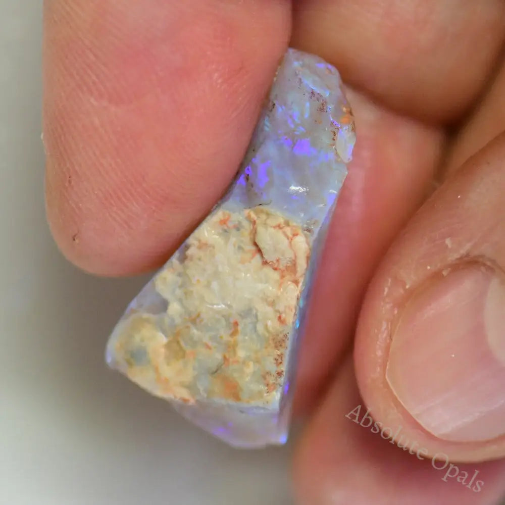 Lightning Ridge Rough Opals 17 cts Australian Rough Opal Lightning Ridge - Absolute Opals & Gems