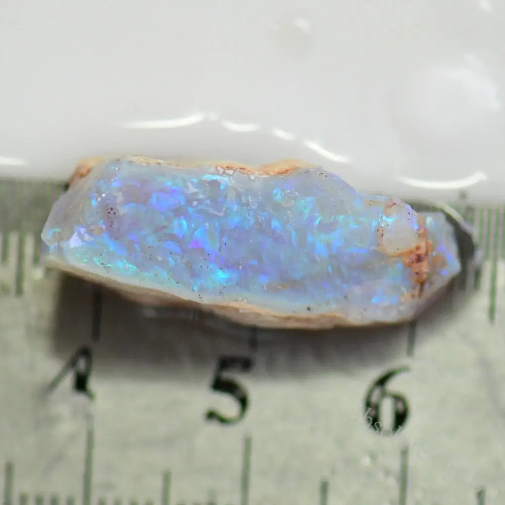 Lightning Ridge Rough 17 cts Australian Rough Opal Lightning Ridge - Absolute Opals & Gems