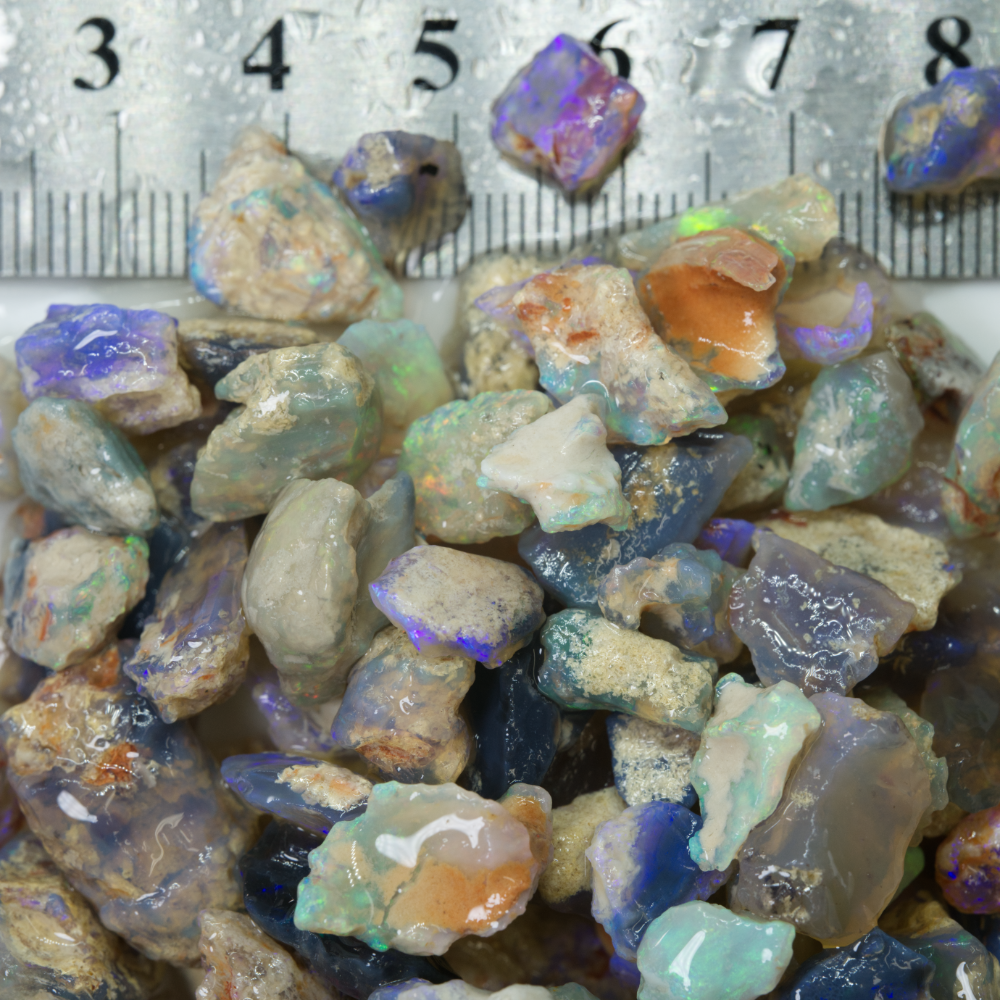 Australian Rough Fossil Opal Collection Lightning Ridge