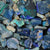  Rough Black Opal Parcel Lightning Ridge - Potch and Colour