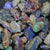  Rough Opal Lightning Ridge -Fossils