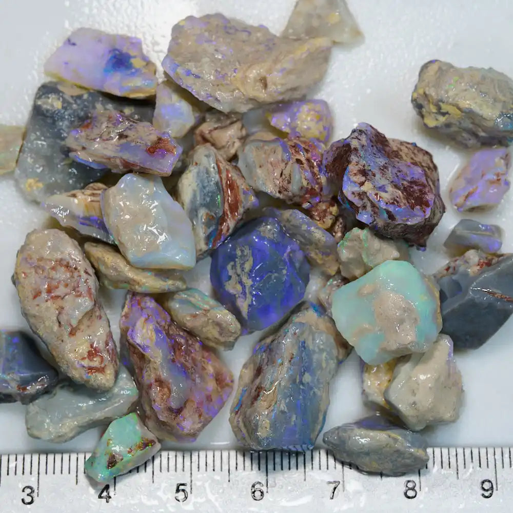 173 cts Rough Opal Lightning Ridge -Fossils Rough Opal