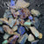  Rough Opal Lightning Ridge -Fossils