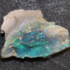 18.6 Cts Australian Opal Rough Lightning Ridge Wood Fossil Polished Specimen