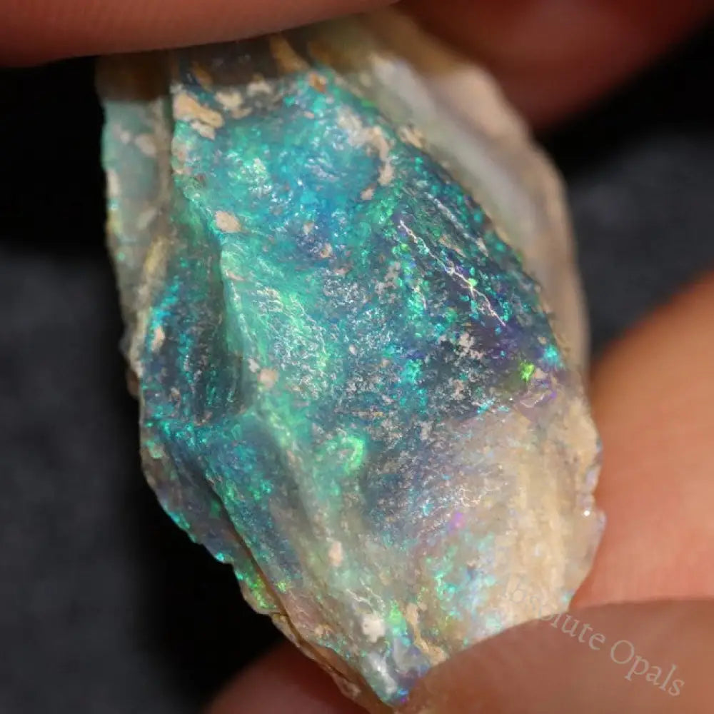 18.6 Cts Australian Opal Rough Lightning Ridge Wood Fossil Polished Specimen