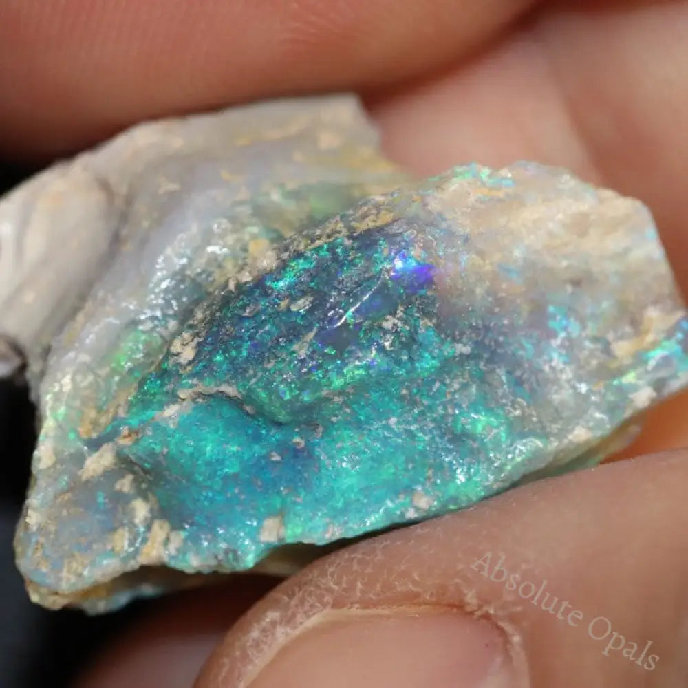 18.6 Cts Australian Opal Rough Lightning Ridge Wood Fossil Polished Specimen