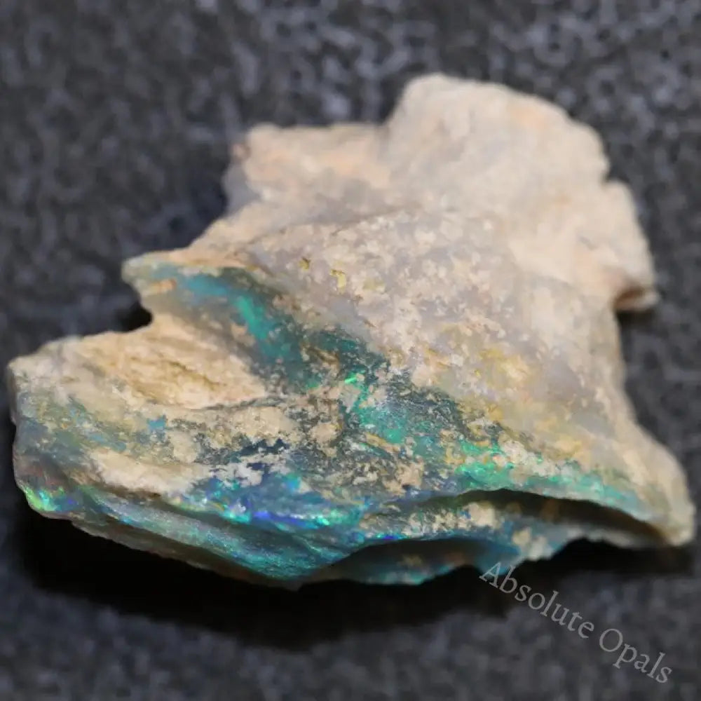 18.6 Cts Australian Opal Rough Lightning Ridge Wood Fossil Polished Specimen