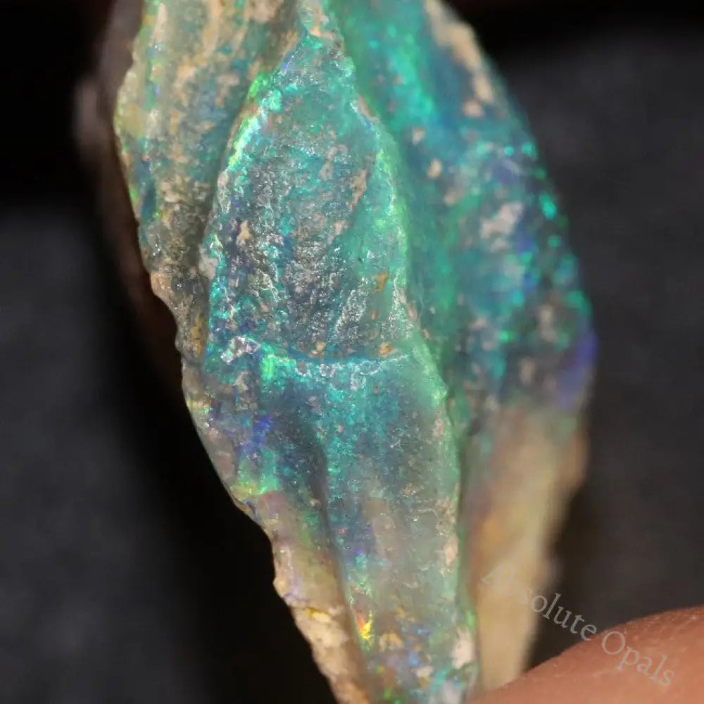 18.6 Cts Australian Opal Rough Lightning Ridge Wood Fossil Polished Specimen