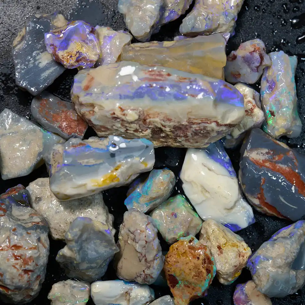 180 cts Rough Opal Lightning Ridge -Fossils Rough Opal