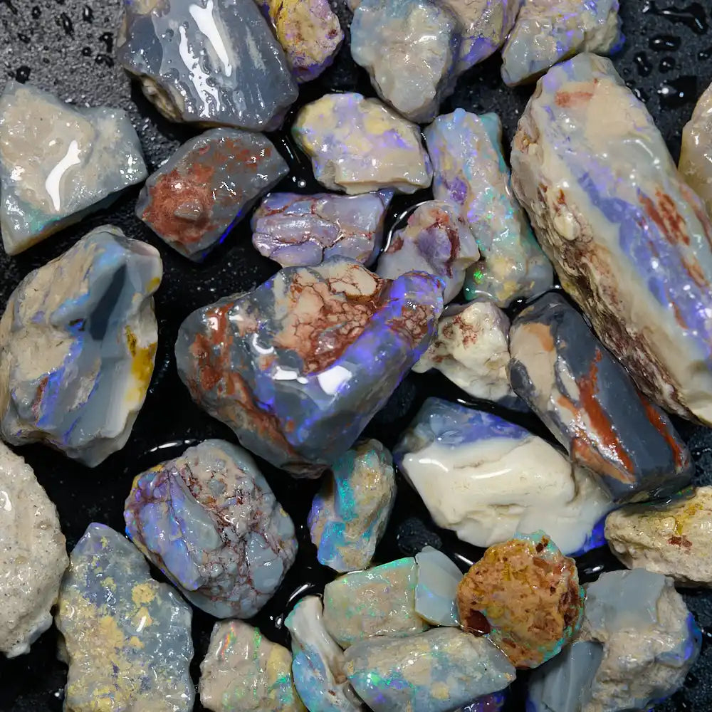 180 cts Rough Opal Lightning Ridge -Fossils Rough Opal