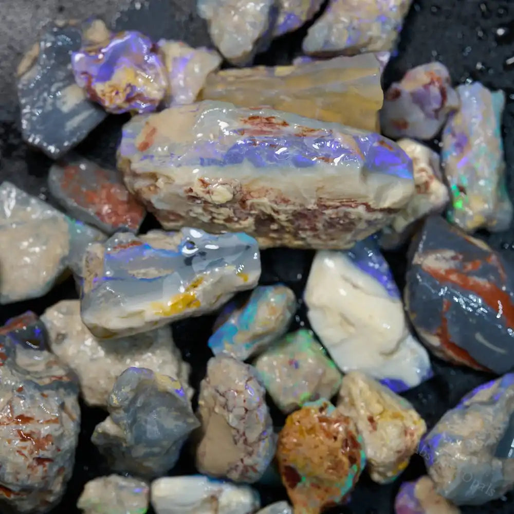 180 cts Rough Opal Lightning Ridge -Fossils Rough Opal